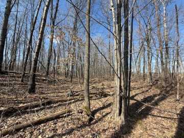 Property Photo 41