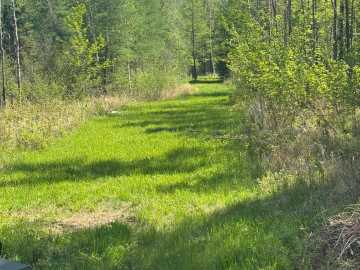 Property Photo 41