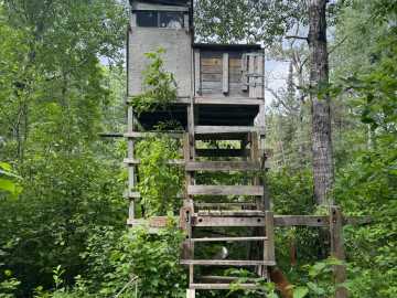 Property Photo 42