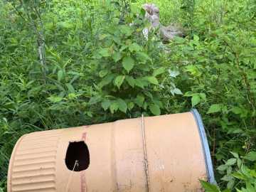 Property Photo 44