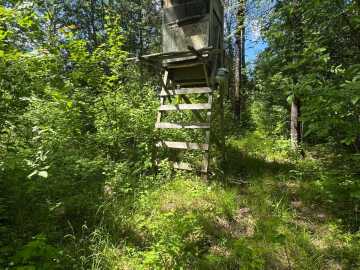 Property Photo 45
