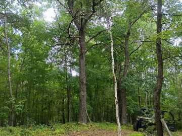 Property Photo 26