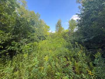 Property Photo 26
