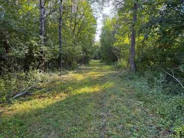 Property Photo 39
