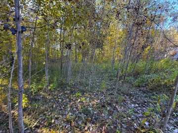 Property Photo 47