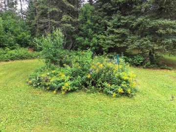 Property Photo 38