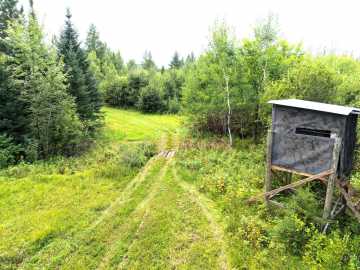 Property Photo 48