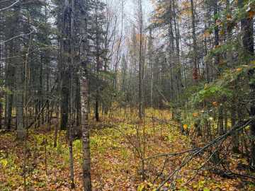 Property Photo 24