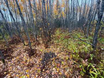 Property Photo 29