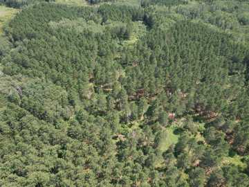 Property Photo 45