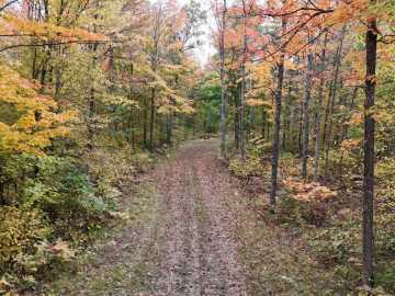 Property Photo 41