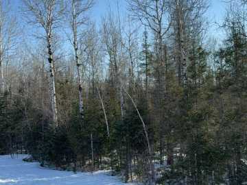 Property Photo 24
