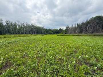 Property Photo 111