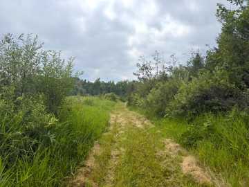 Property Photo 114