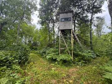 Property Photo 116