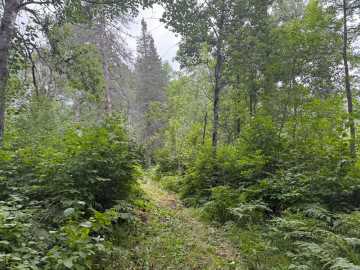 Property Photo 117