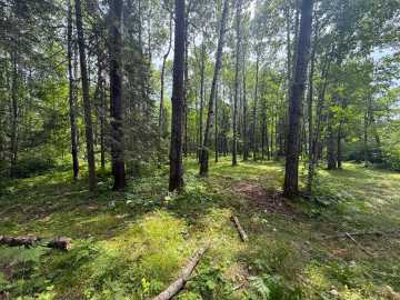Property Photo 125