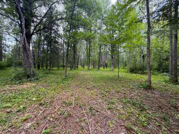 Property Photo 129