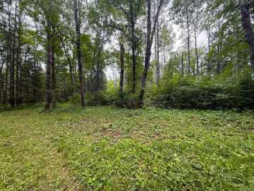 Property Photo 131