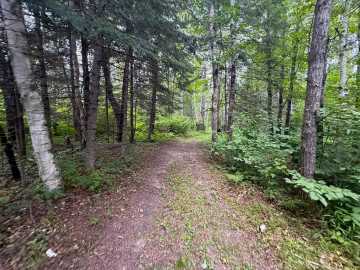 Property Photo 132
