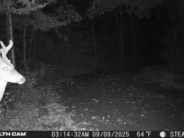 Property Photo 87