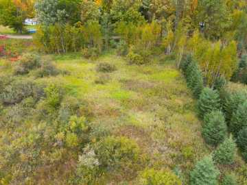 Property Photo 59