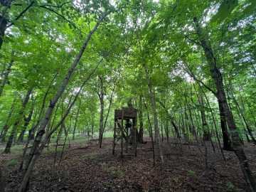 Property Photo 26