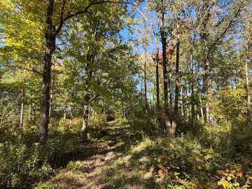 Property Photo 41