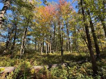 Property Photo 42