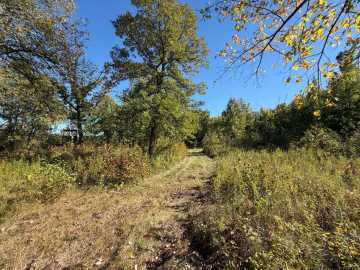 Property Photo 44