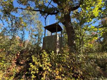 Property Photo 45
