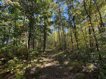 Property Photo 47