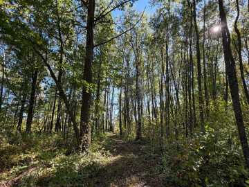 Property Photo 50