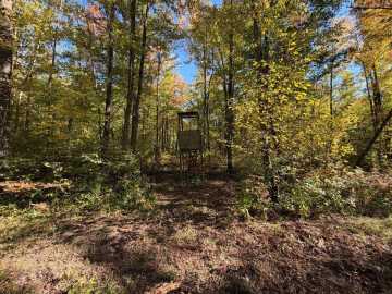 Property Photo 59