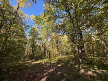 Property Photo 60
