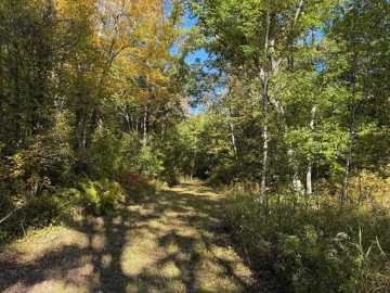 Property Photo 63
