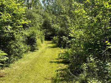 Property Photo 60