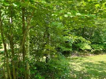 Property Photo 62