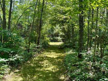 Property Photo 63