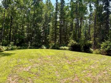 Property Photo 72