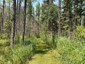 Property Photo 77