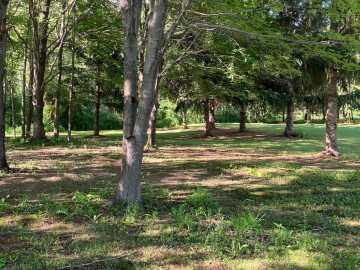 Property Photo 27