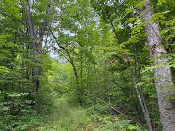 Property Photo 39