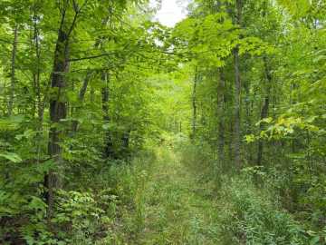 Property Photo 41