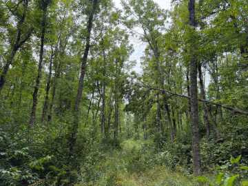 Property Photo 47