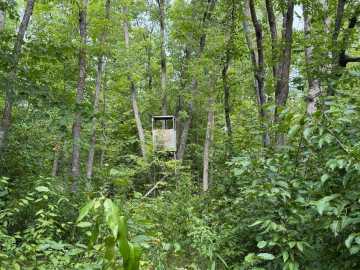 Property Photo 48