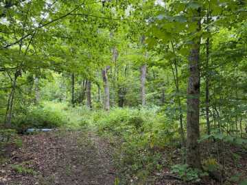 Property Photo 50