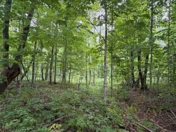 Property Photo 51