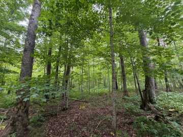 Property Photo 54