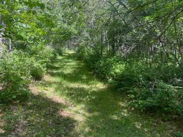 Property Photo 38